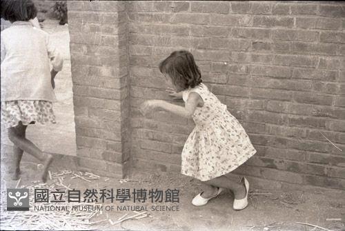 1950至2006年臺灣常民生活藏品圖，第1張
