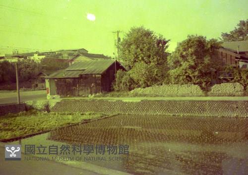 1950至2006年臺灣常民生活藏品圖，第1張