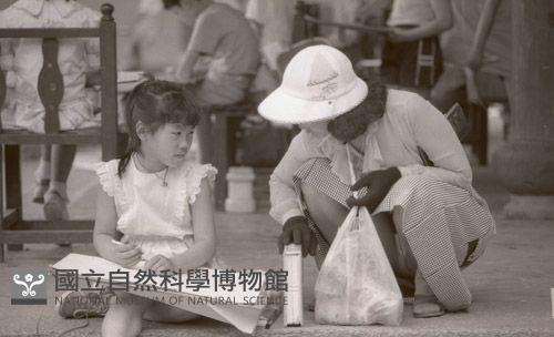 1950至2006年臺灣常民生活藏品圖，第1張