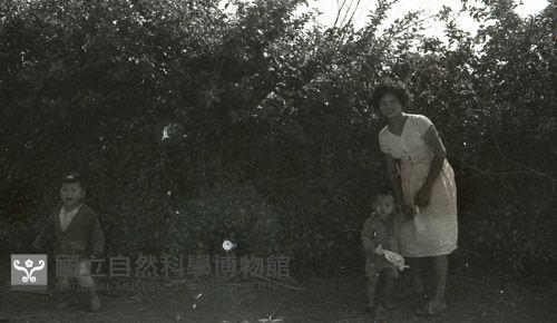 1950至2006年臺灣常民生活 藏品圖，第1張