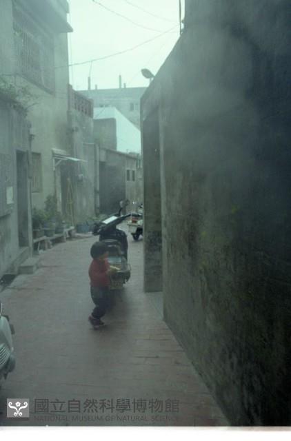 1950至2006年臺灣常民生活藏品圖，第1張