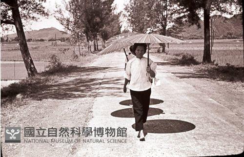 1950至2006年臺灣常民生活藏品圖，第1張