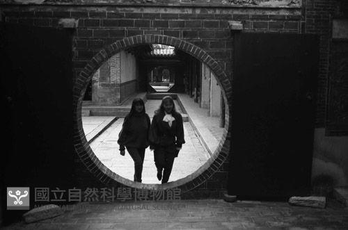 1950至2006年臺灣常民生活藏品圖，第1張