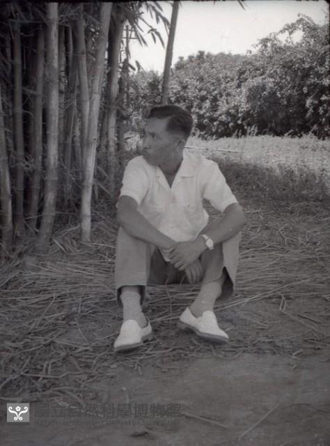 1950至2006年臺灣常民生活藏品圖，第1張