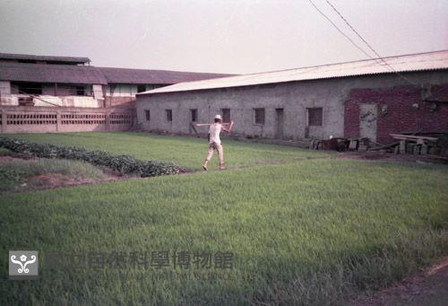 1950至2006年臺灣常民生活藏品圖，第1張