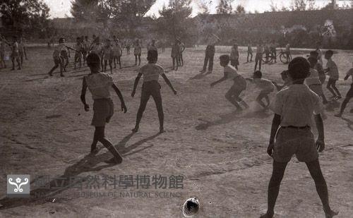 1950至2006年臺灣常民生活藏品圖，第1張