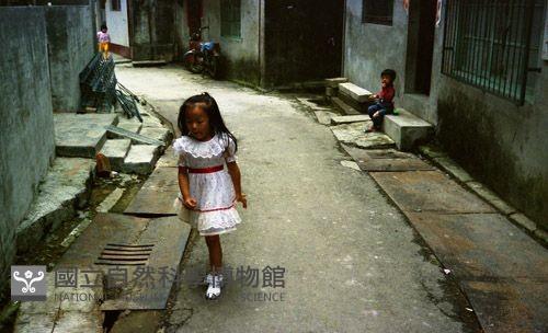 1950至2006年臺灣常民生活藏品圖，第1張