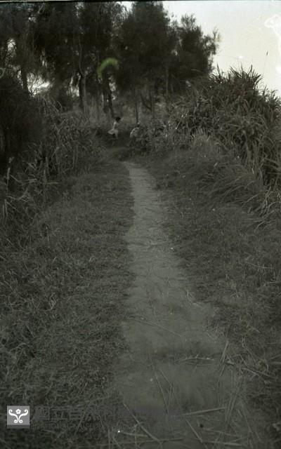 1950至2006年臺灣常民生活 藏品圖，第1張