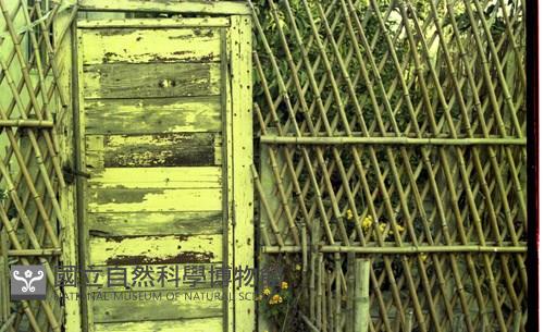 1950至2006年臺灣常民生活藏品圖，第1張