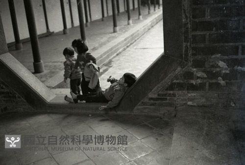 1950至2006年臺灣常民生活藏品圖，第1張