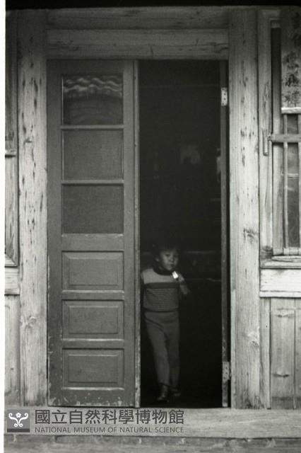 1950至2006年臺灣常民生活藏品圖，第1張