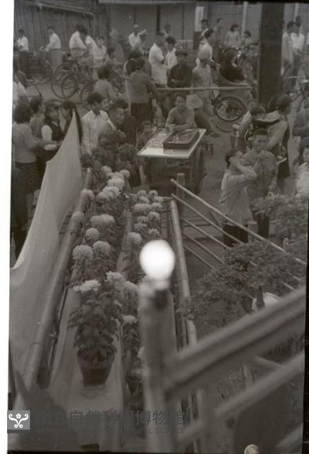 1950至2006年臺灣常民生活藏品圖，第1張