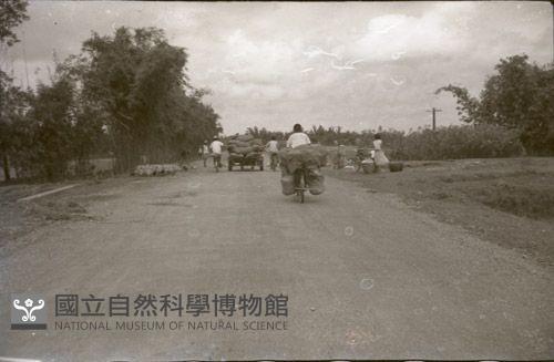 1950至2006年臺灣常民生活藏品圖，第1張