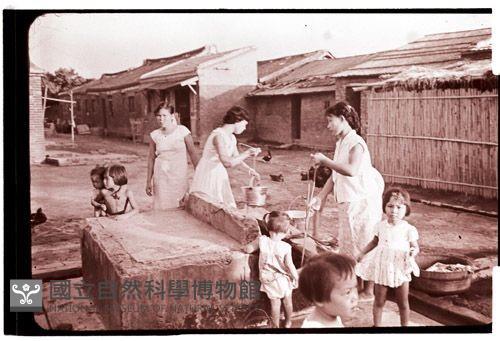 1950至2006年臺灣常民生活藏品圖，第1張