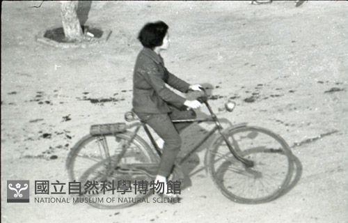 1950至2006年臺灣常民生活藏品圖，第1張