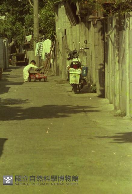 1950至2006年臺灣常民生活藏品圖，第1張