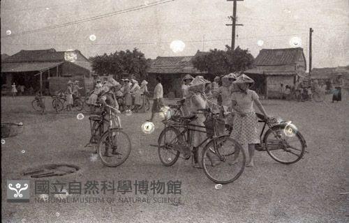 1950至2006年臺灣常民生活藏品圖，第1張