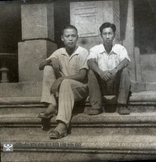 1950至2006年臺灣常民生活藏品圖，第1張