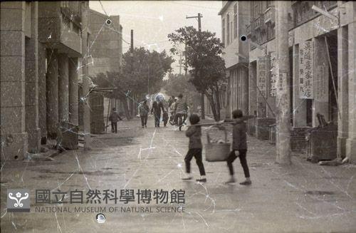 1950至2006年臺灣常民生活藏品圖，第1張