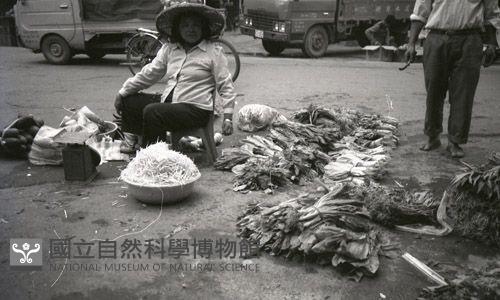 1950至2006年臺灣常民生活藏品圖，第1張