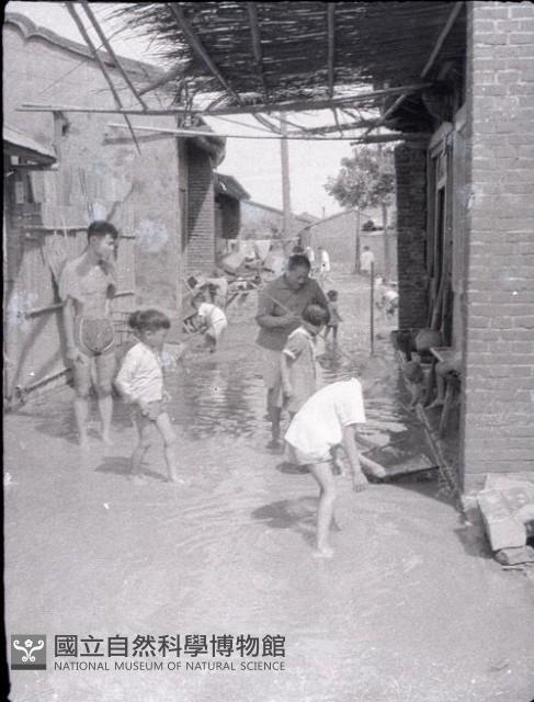 1950至2006年臺灣常民生活藏品圖，第1張