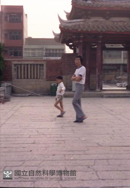 1950至2006年臺灣常民生活藏品圖，第1張