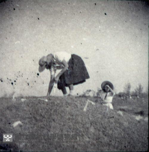 1950至2006年臺灣常民生活藏品圖，第1張