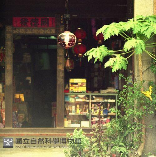 1950至2006年臺灣常民生活藏品圖，第1張