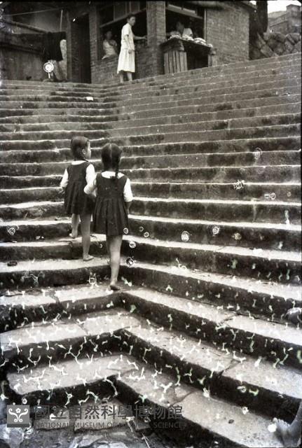 1950至2006年臺灣常民生活藏品圖，第1張