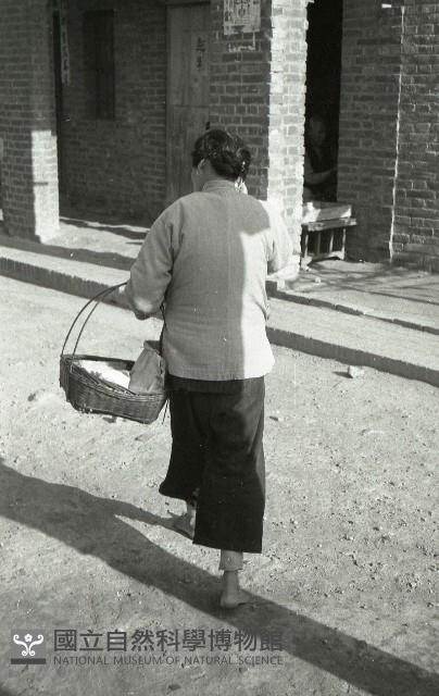 1950至2006年臺灣常民生活藏品圖，第1張