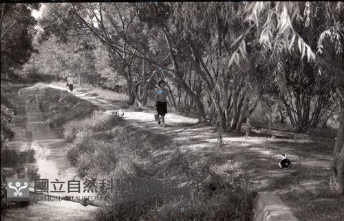 1950至2006年臺灣常民生活藏品圖，第1張