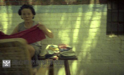 1950至2006年臺灣常民生活藏品圖，第1張