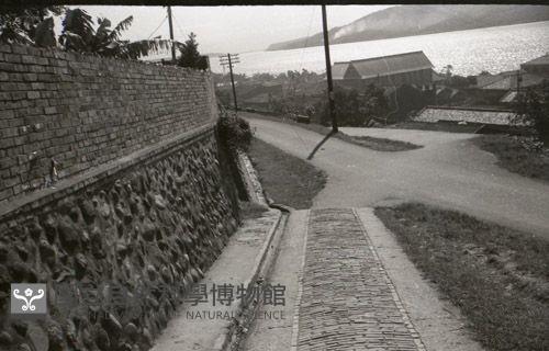 1950至2006年台灣常民生活藏品圖，第1張
