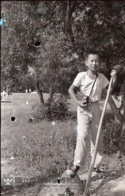 1950至2006年臺灣常民生活藏品圖，第1張