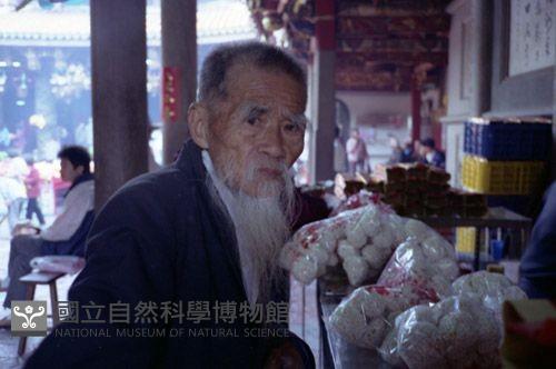 1950至2006年臺灣常民生活藏品圖，第1張