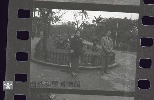 1950至2006年臺灣常民生活藏品圖，第1張