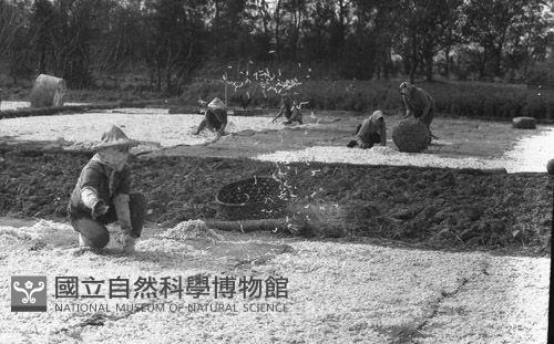 1950至2006年臺灣常民生活藏品圖，第1張