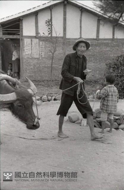 1950至2006年臺灣常民生活藏品圖，第1張