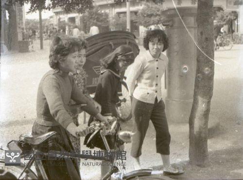 1950至2006年台灣常民生活藏品圖，第1張