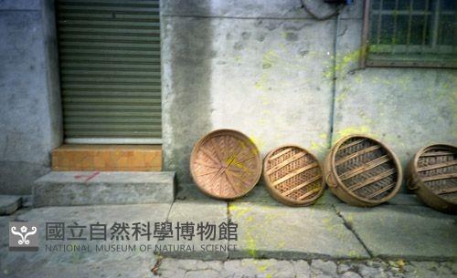 1950至2006年臺灣常民生活藏品圖，第1張
