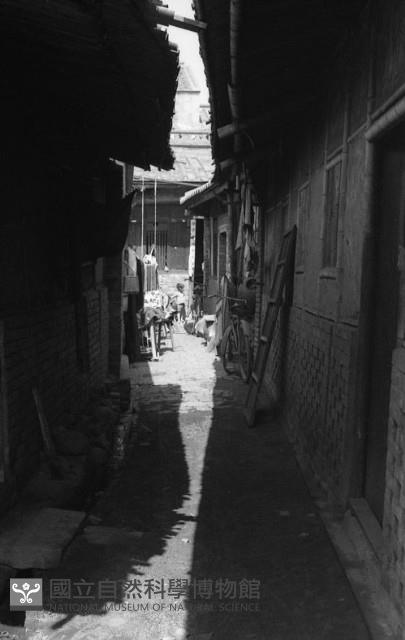 1950至2006年臺灣常民生活藏品圖，第1張