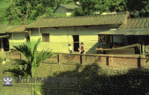 1950至2006年臺灣常民生活藏品圖，第1張