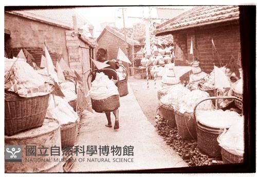 1950至2006年臺灣常民生活藏品圖，第1張