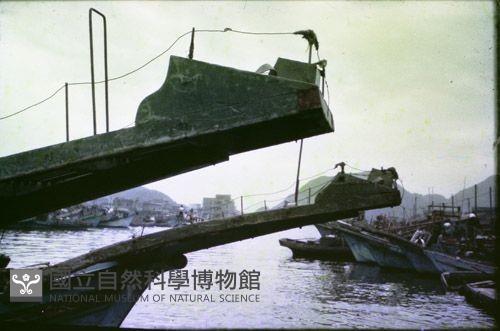 1950至2006年臺灣常民生活藏品圖，第1張
