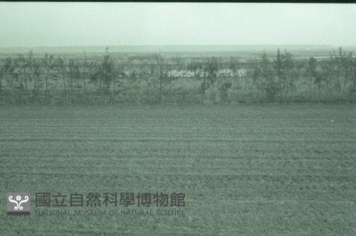 1950至2006年台灣常民生活藏品圖，第1張
