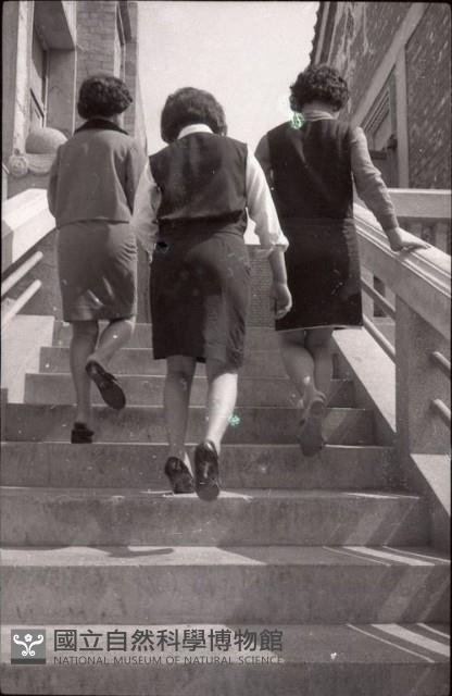 1950至2006年臺灣常民生活藏品圖，第1張