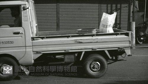 1950至2006年臺灣常民生活藏品圖，第1張