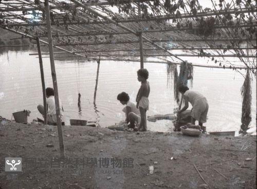 1950至2006年臺灣常民生活藏品圖，第1張
