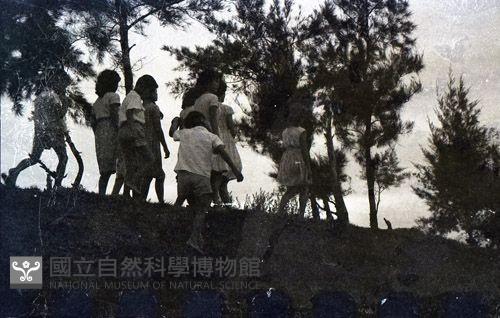 1950至2006年臺灣常民生活藏品圖，第1張