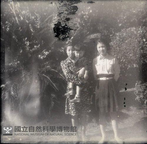 1950至2006年臺灣常民生活藏品圖，第1張